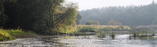 Pohjoislahden-Tiilitehtaanmen luontopolun maisemia riippusillalta