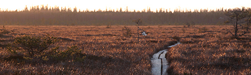 Kurjenkierroksen syksyist pitkosreitti Levanevalta