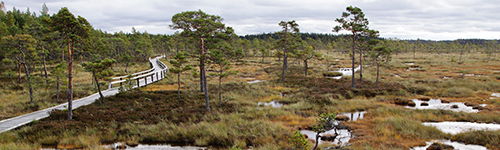 Mustansaarenkeitaan esteettmn reitin lintutornista avautuu hieno suomaisema