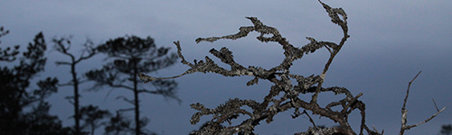 Parrasta Kakkoriin patikoidaan vaihtelevien maisemien lpi