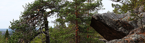 Pyhvuoren ja Susivuoren rinteill on hienoja kallioita