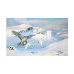 kr_falrus1216.jpg