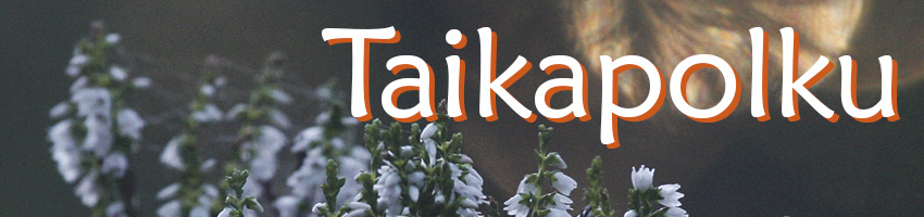 Taikapolku opastus ja retket luontoon